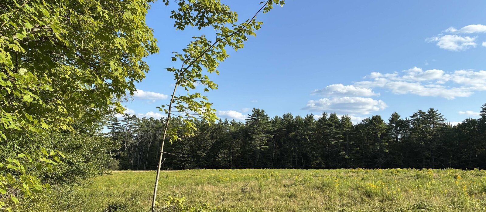 The Lessey Easement in Hancock (photo © Eric Masterson)
