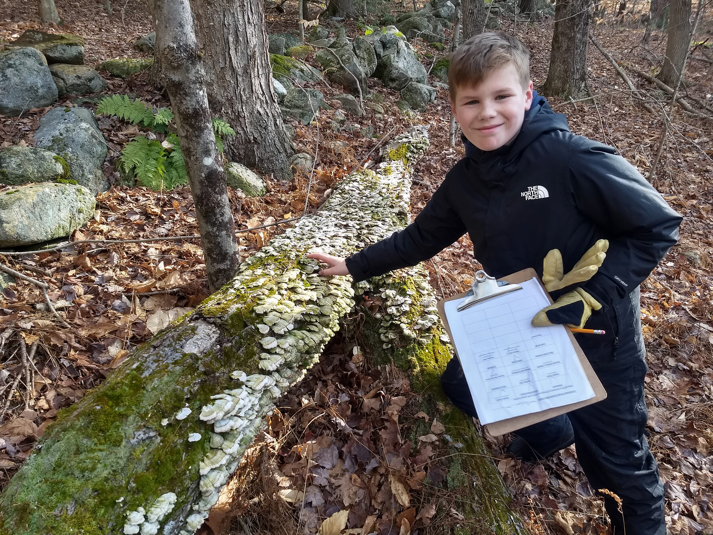 A boy investigates a log (photo © Laura White)