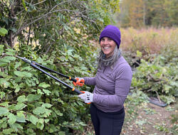 Mary Verrilli trimming bushes during a volunteer clean-up day at the Harris Center