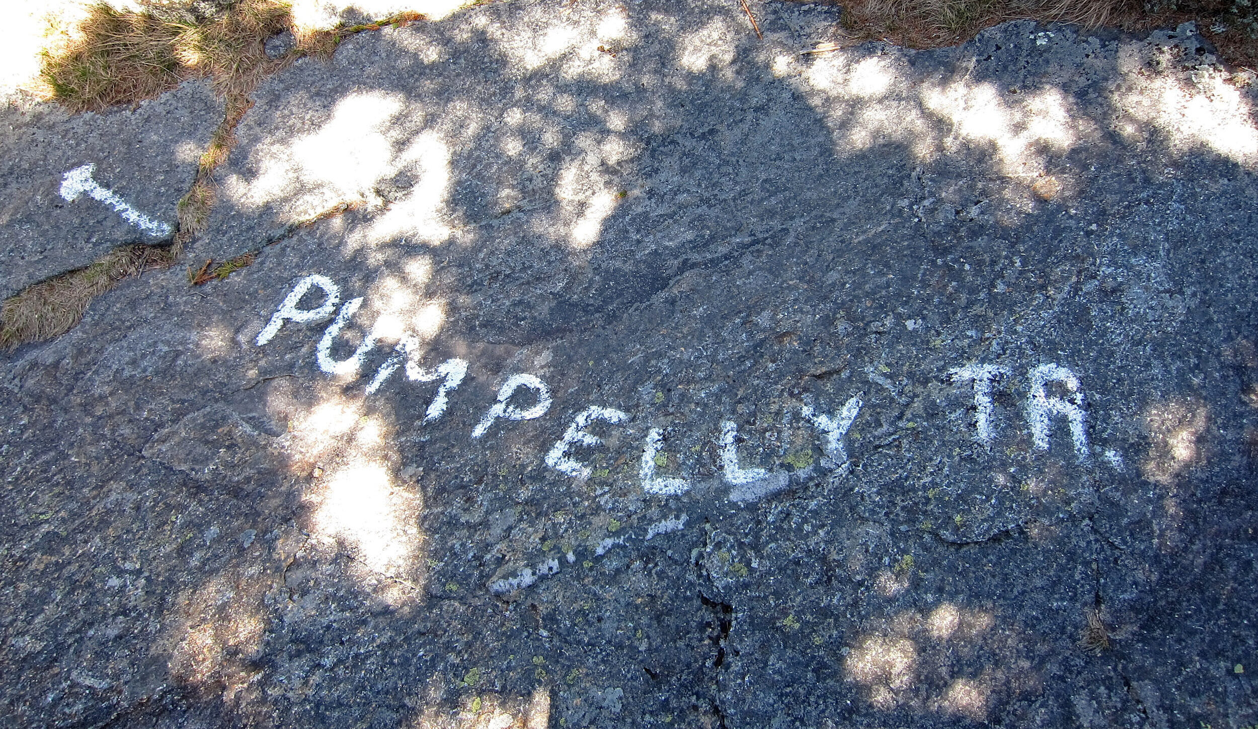 Pumpelly Trail on Mount Monadnock (photo © Ray Krebs via Flickr Commons)