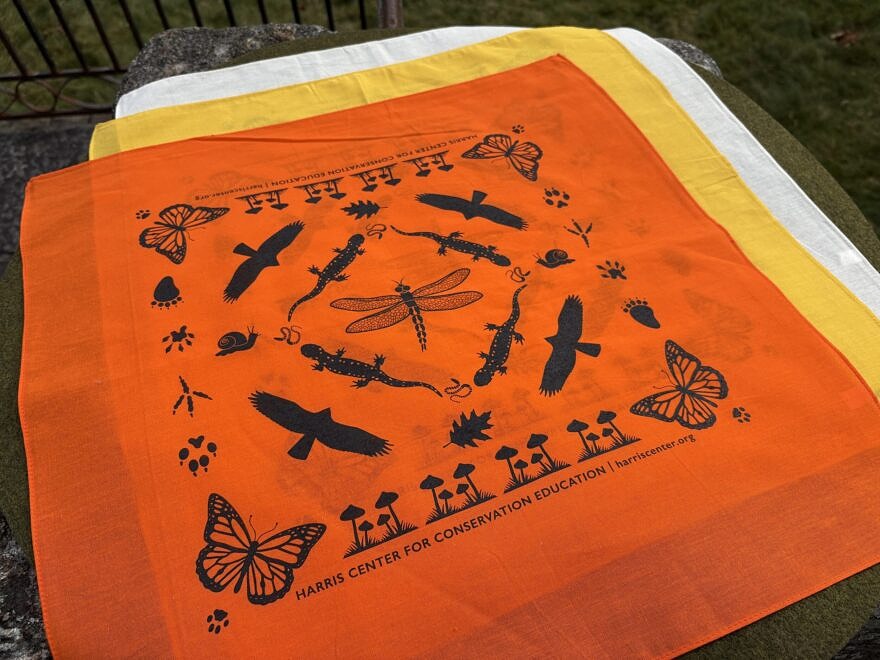 Harris Center orange bandana (photo © Michelle Aldredge)