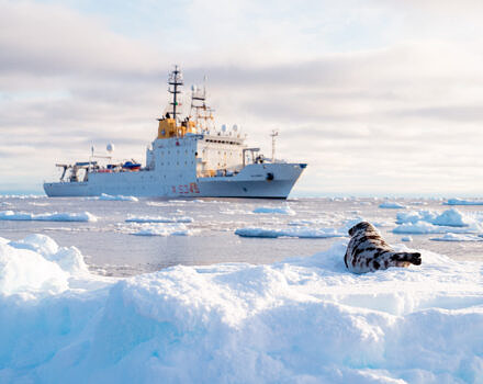 A still from the film The Alliance (photo © Forge Photography & Film)