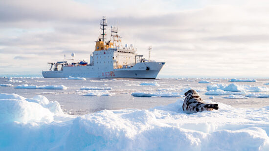 A still from the film The Alliance (photo © Forge Photography & Film)