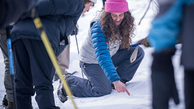 Susie tracking mammals at Beech Hill (photo © Ben Conant)
