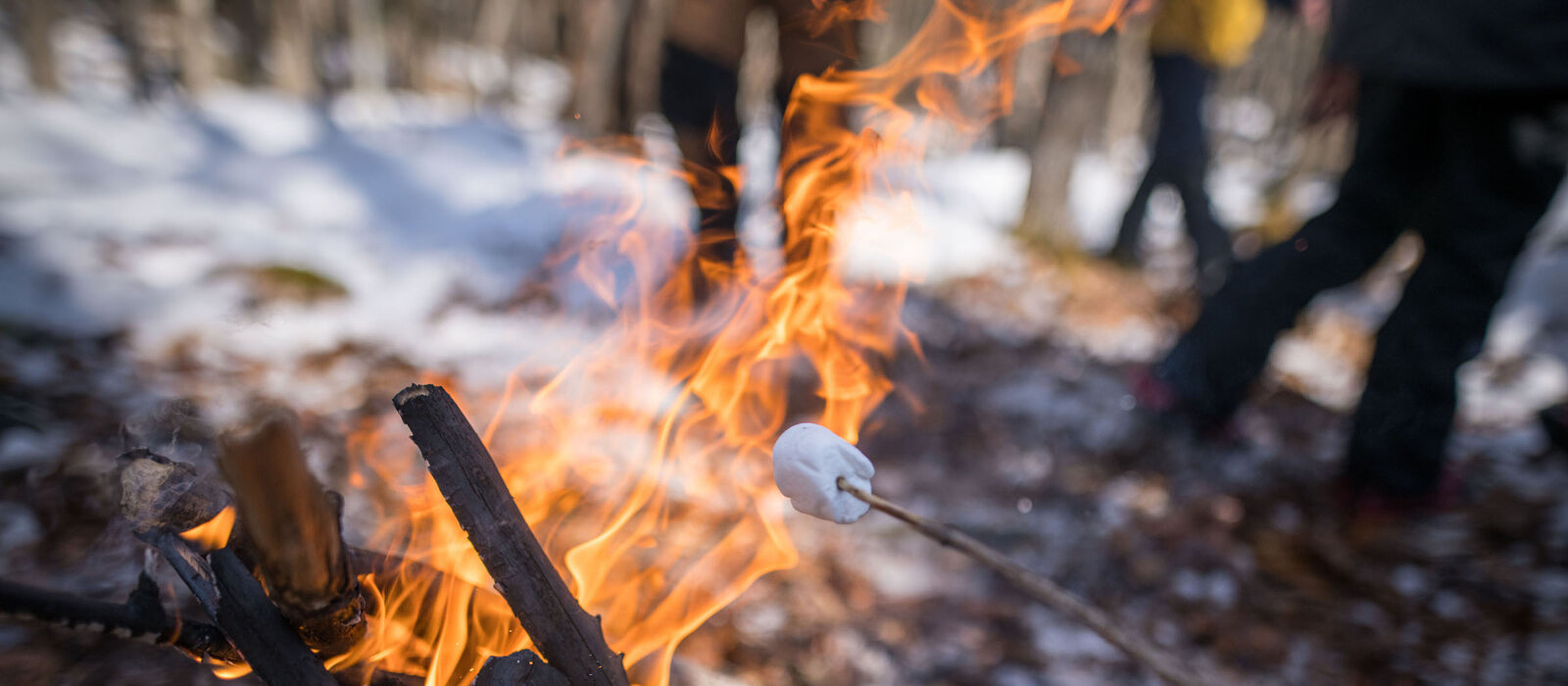 Roasting marshmallows during Winter Camp (photo © Ben Conant)