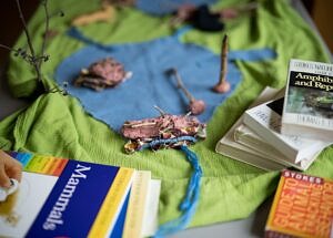 Books and story cloth at a teacher's workshop (photo © Ben Conant)
