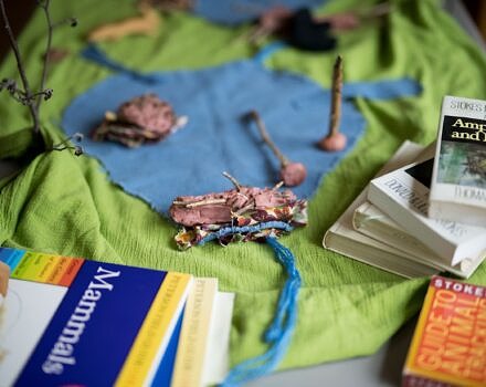 Books and story cloth at a teacher's workshop (photo © Ben Conant)