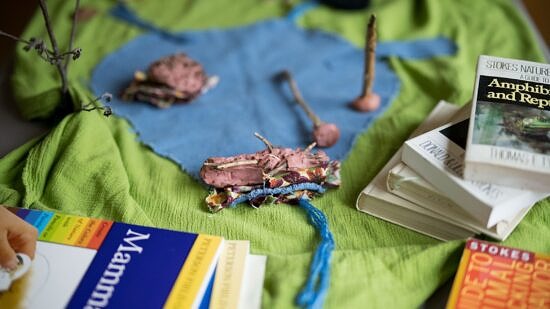 Books and story cloth at a teacher's workshop (photo © Ben Conant)