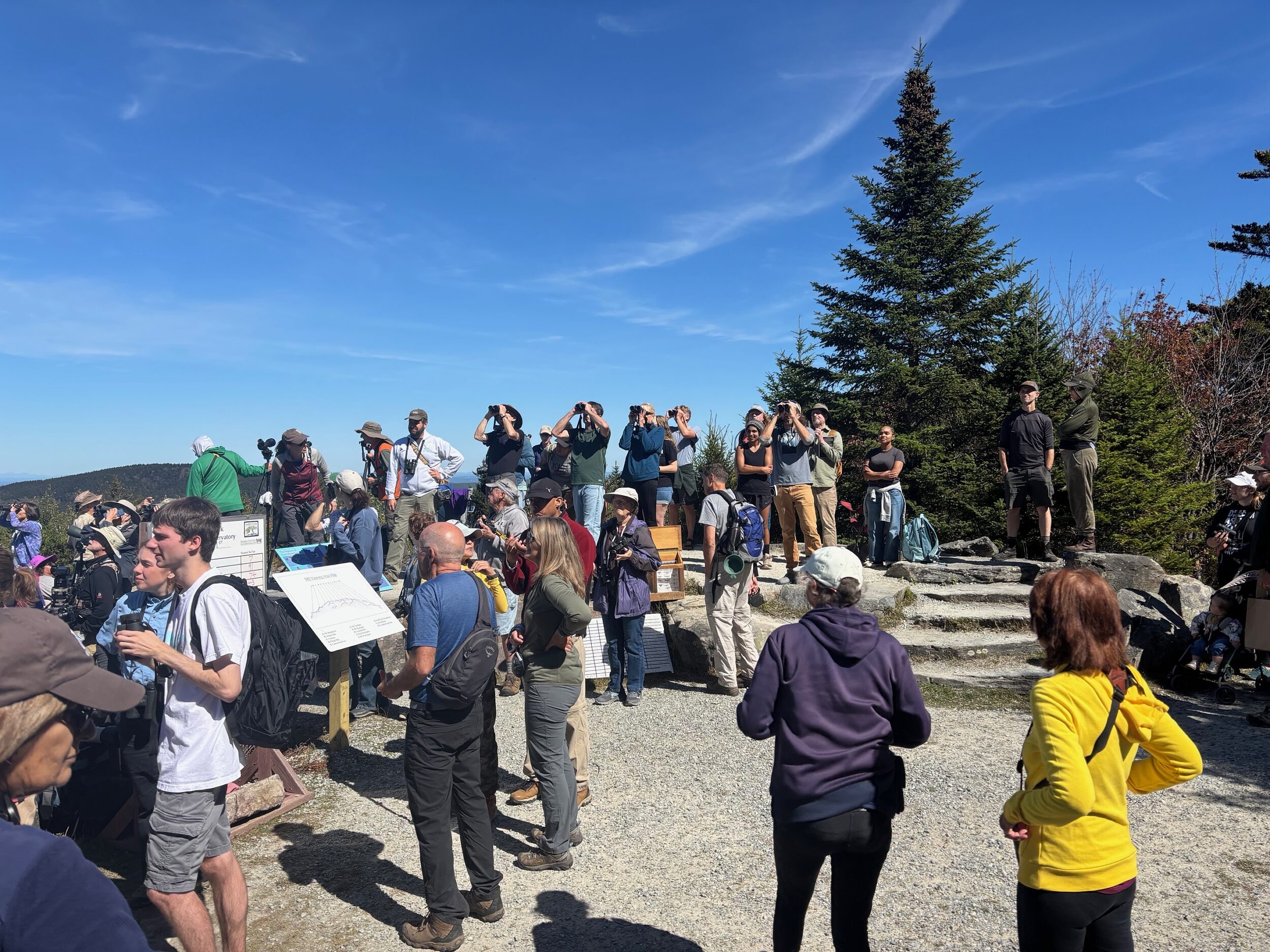 The Pack Monadnock Raptor Observatory welcomed 6,449 total visitors in 2025 (courtesy photo)
