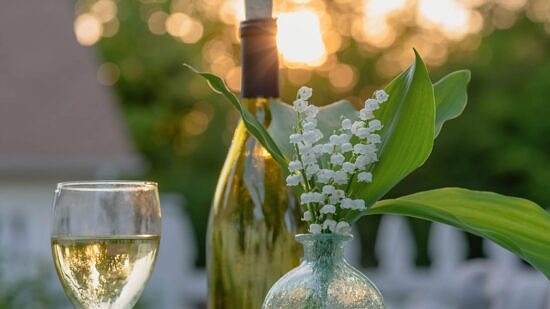 A garden dinner with white wine (photo © Adobe)