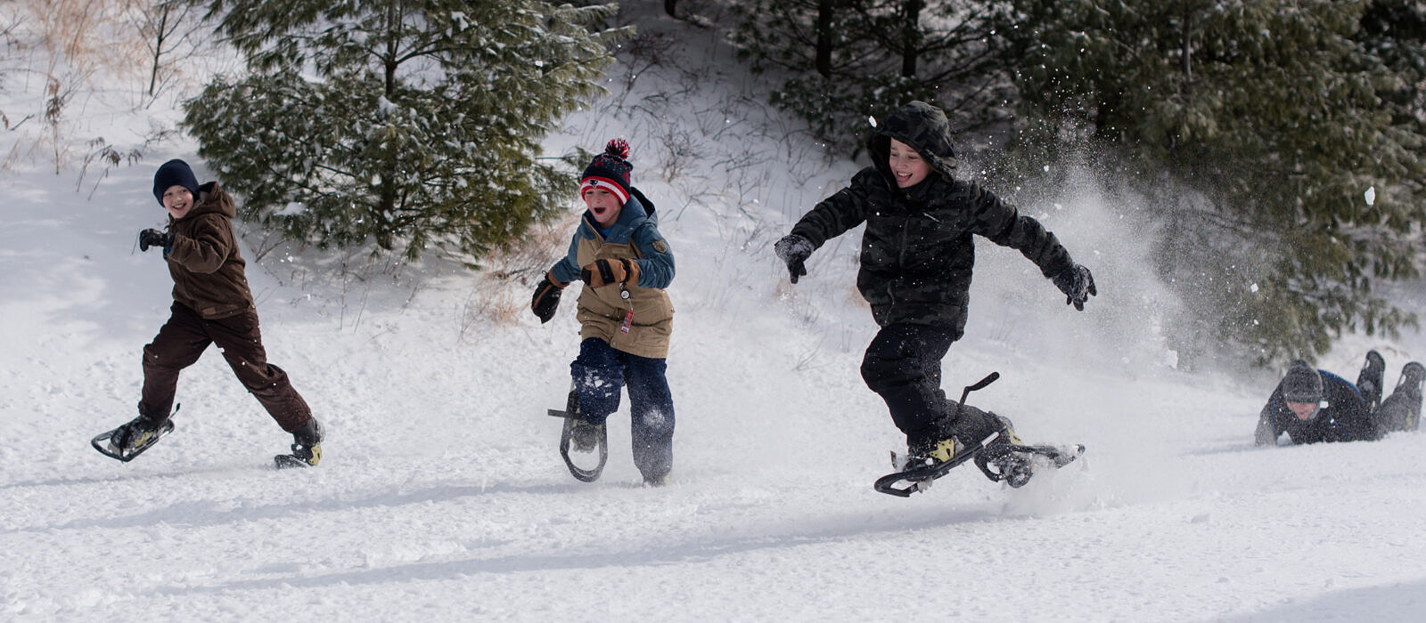 Three boys snowshoe at the Harris Center (photo © Ben Conant)