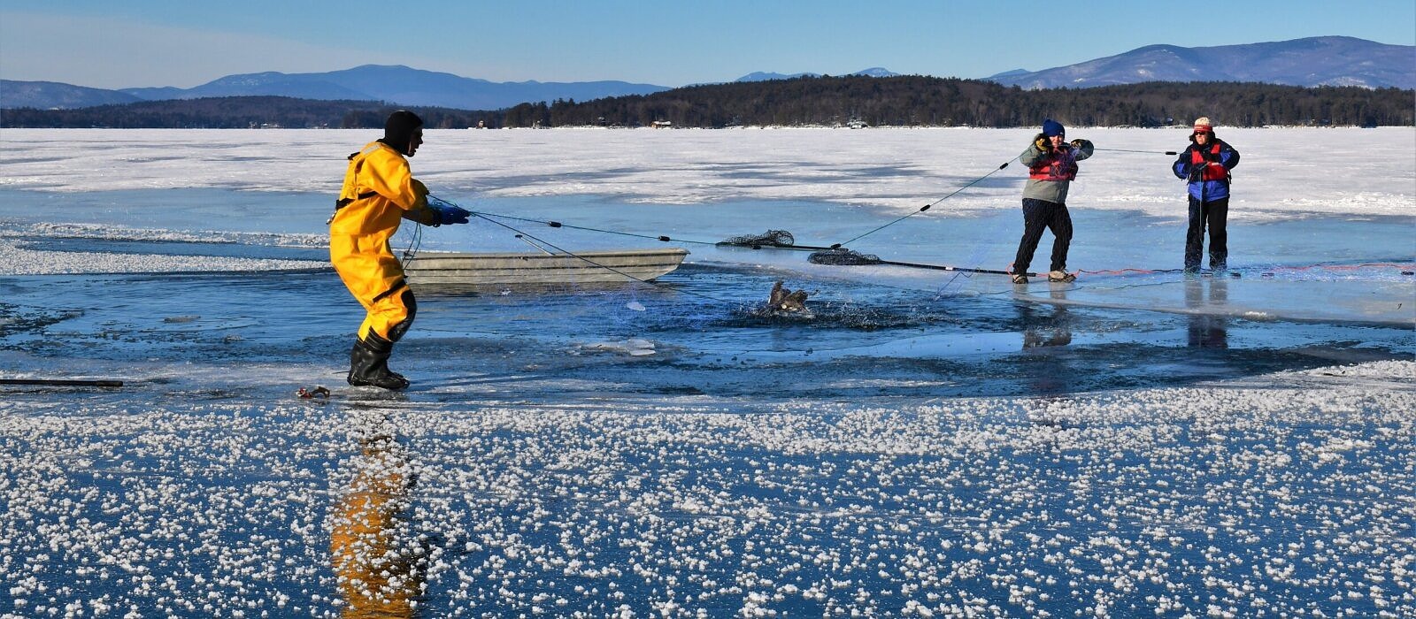 LPC biologists gillnetting an iced-in loon on Lake Winnipesaukee in February 2022