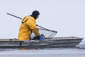 John Cooley Jr. with rescued loon in net.
