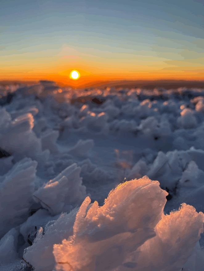 Rime ice formations are illuminated by the setting sun on Mount Moosilauke. (photo © Emma Kluge)