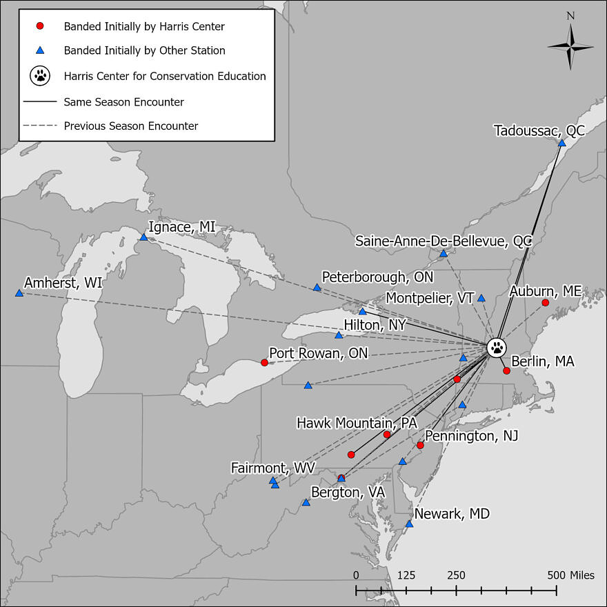 A map showing where saw-whet owls banded on Harris Center lands from 2022 to 2025 have subsequently been encountered, and where banded owls encountered at Harris Center sites were originally banded. Solid lines indicate same-season encounters, and represent general direction of travel. Dashed lines connect prior-season encounter locations, but do not necessarily represent migration pathways as more than one migration season had occurred between captures. (map by Nate Marchessault & Mike Valentino)