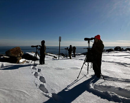 The team scans a glassy ocean for waterbirds. (photo © Katrina Fenton)