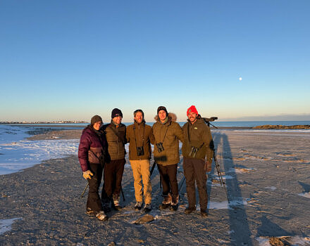 The Kestrels enjoy late-day sunlight at Hampton Beach. (photo © Phil Brown)