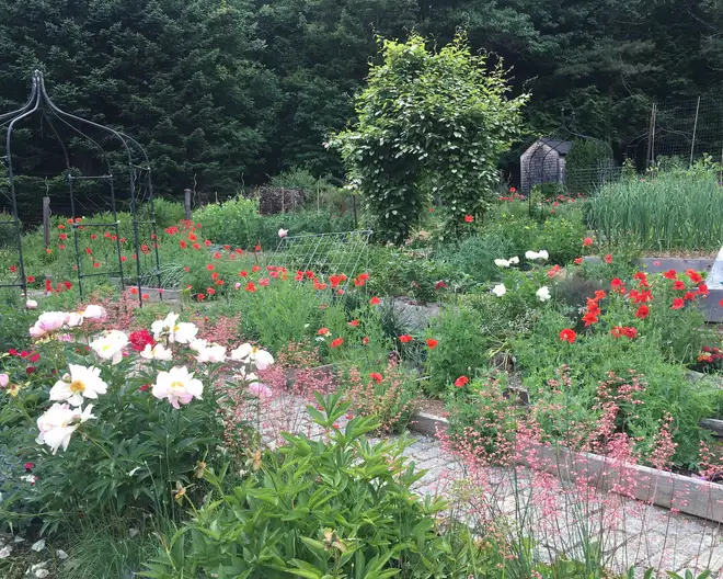Bill and Eileen Elliott’s off-the-grid plant paradise in Hancock (courtesy photo)