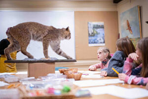 Rosemary Conroy in wildlife drawing class with Lab Girls+ (photo © Ben Conant)