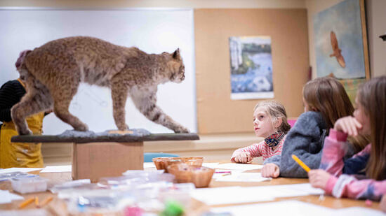 Rosemary Conroy in wildlife drawing class with Lab Girls+ (photo © Ben Conant)