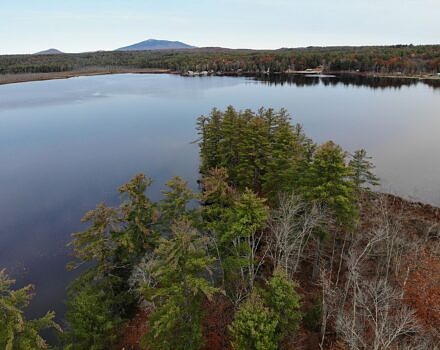 Sip Pond Peninsula Trail (photo © Monadnock Conservancy)