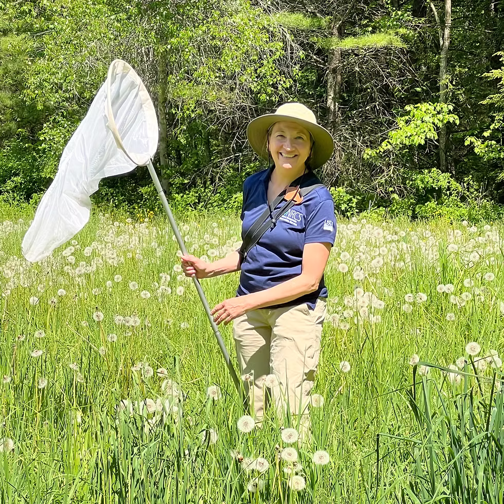 Wendy Ward (photo © Cheshire Conservation District)