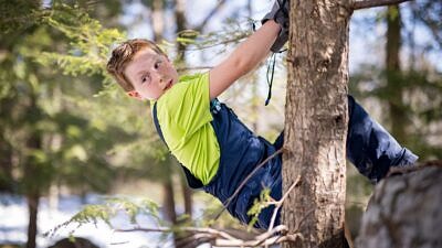 Wild at home-Boy climbs a tree during homeschool (photo © Ben Conant)