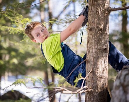 Wild at home-Boy climbs a tree during homeschool (photo © Ben Conant)