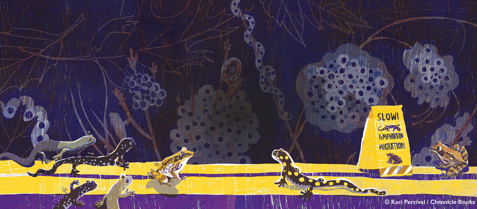 An illustration from Safe Crossing by Kari Percival 