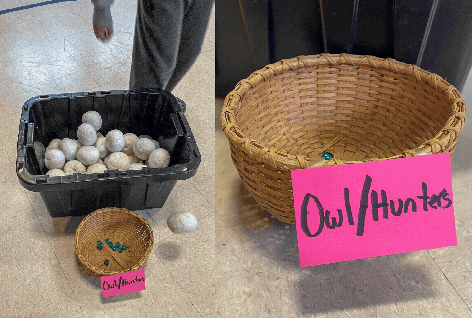 Peregrine Falcon Game at Wells Memorial (photos © Jenna Spear)