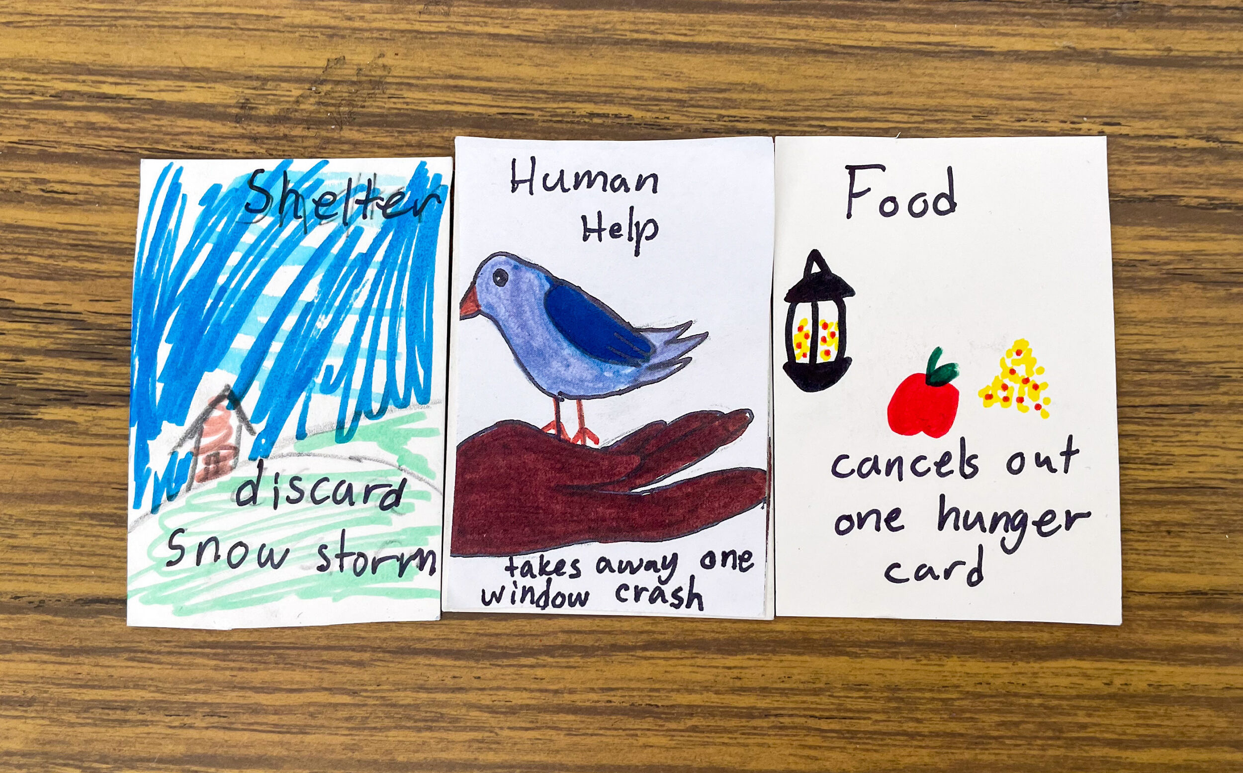 Game cards designed by the 5th and 6th graders at Wells Memorial School (photo © Jenna Spear)