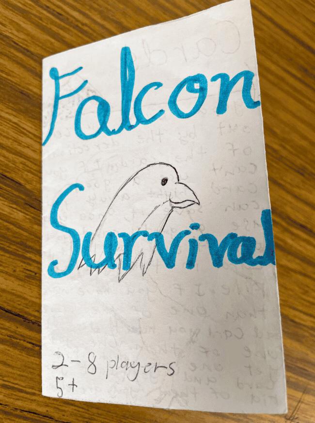 Working with their classroom teacher, Amanda Barnard, students designed games that explored the challenges a non-migrating Peregrine might face during a New Hampshire winter. (photos © Jenna Spear)