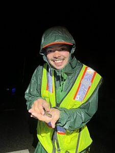 Salamander Brigade intern Parker Root smiles as he holds a spotted salamander for the very first time. (photo © Brett Amy Thelen)
