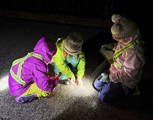 Three young Crossing Brigade volunteers work together to move a spring peeper to safety. (photo © Heidi Colburn)