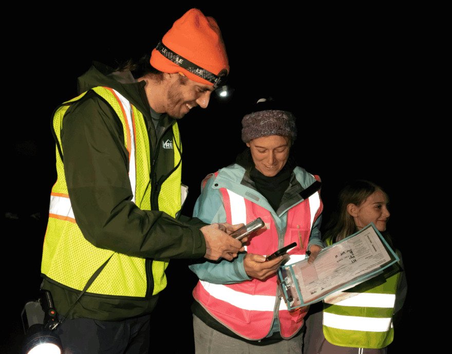 Data collection on Big Night on Jordan Rd. (photo © Nina Duggan)