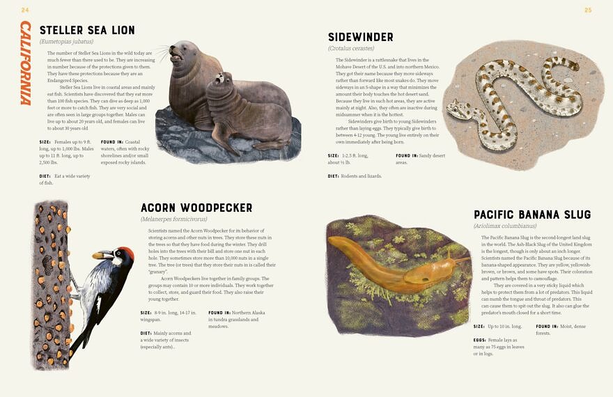 Two pages about California wildlife from the book "America is Wild!" by Brad Timm