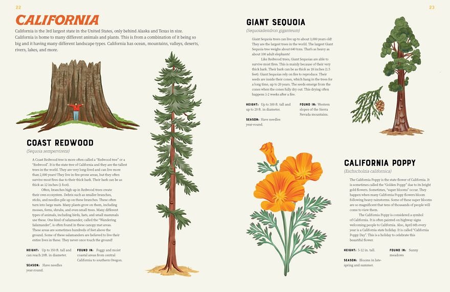 Two pages about California plants from the book "America is Wild!" by Brad Timm