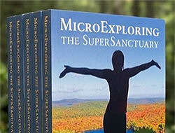 The cover of MicroExploring the SuperSanctuary