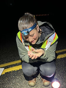 Crossing Brigade intern Lena Goins looking down at a gray tree frog in her hand. (photo © Brett Amy Thelen)