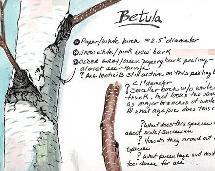 A sample journal page from Christine Andrews