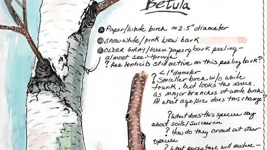 A sample journal page from Christine Andrews