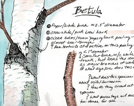 A sample journal page from Christine Andrews