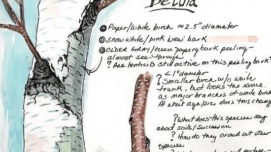 A sample journal page from Christine Andrews