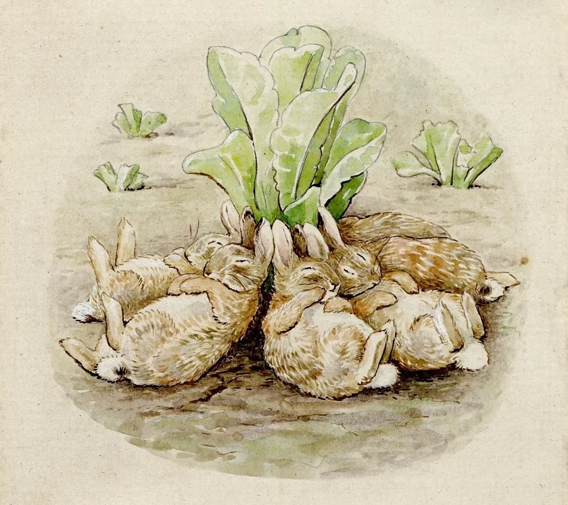 Beatrix Potter Celebration with Snoopy the Rabbit on July 10