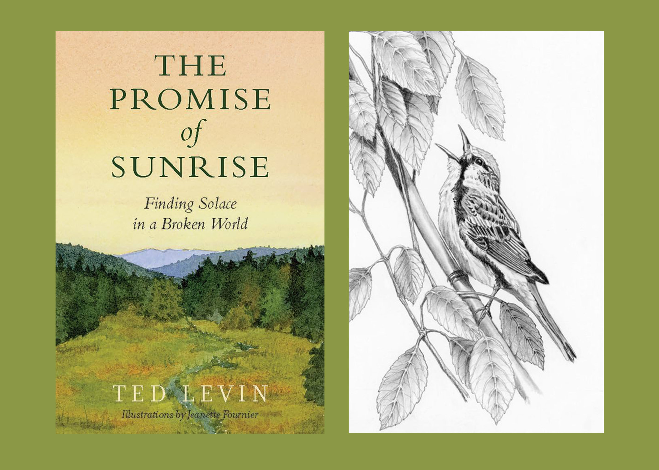 The Promise of Sunrise by Ted Levin. Illustrations by Jeanette Fournier.