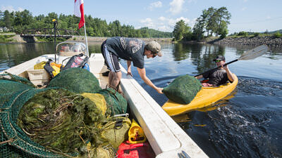 Volunteers load piles of invasive milfoil onto boats in the Adirondacks. (photo © Jake Sporn via the Flickr Commons)