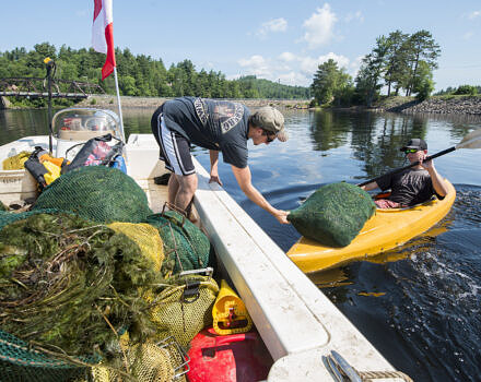 Volunteers load piles of invasive milfoil onto boats in the Adirondacks. (photo © Jake Sporn via the Flickr Commons)