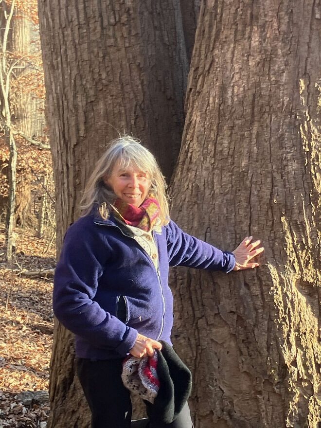 Artist Lynne Cherry (courtesy photo)