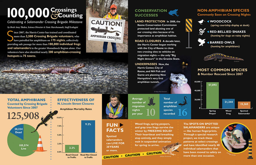 Salamander Brigades Infographic 2026