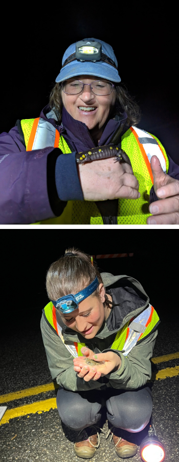 A montage of two Salamander Crossing Brigade volunteers, Sarah Wilson (top) and Lena Goins (bottom)